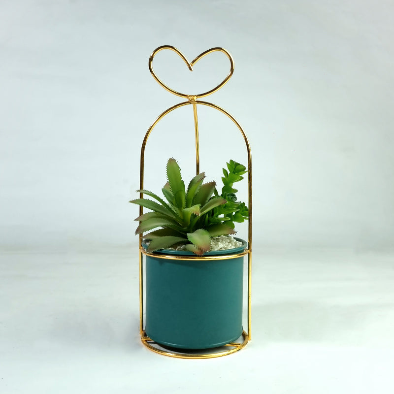 Green Plant in a Cage